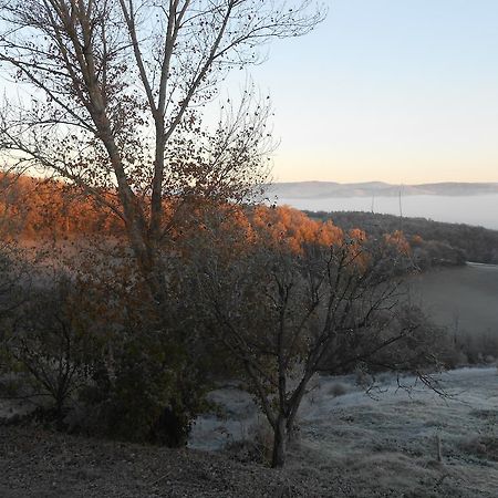 Gite Des Monts Saint-Izaire Exterior foto