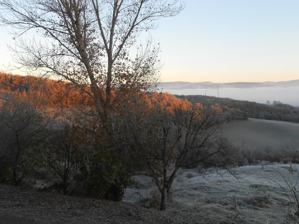 Gite Des Monts Saint-Izaire Exterior foto
