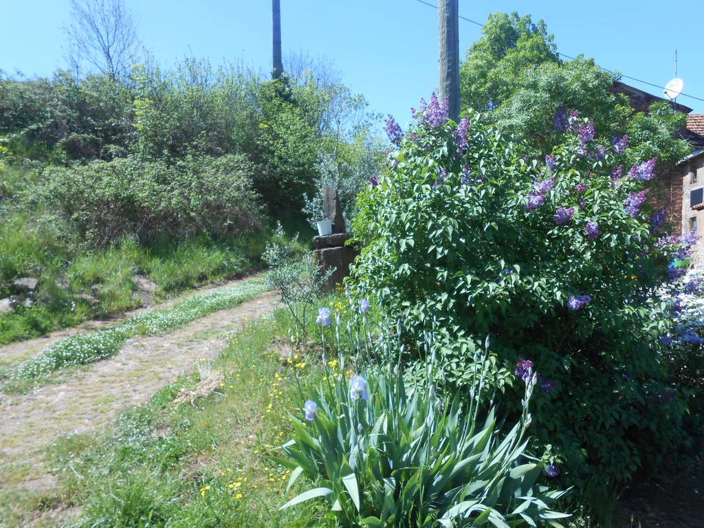 Gite Des Monts Saint-Izaire Exterior foto